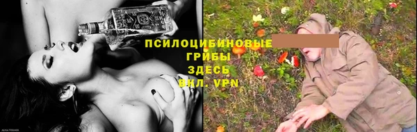 гидропоника Инсар