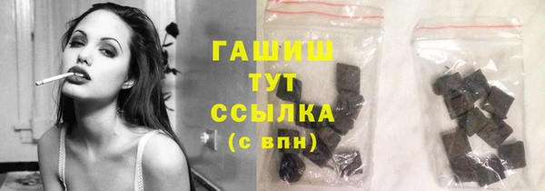 хмурый Инта