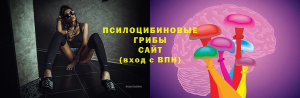 гидропоника Инсар