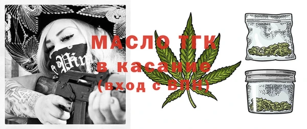 хмурый Инта
