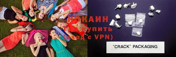 хмурый Инта