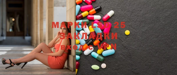 хмурый Инта