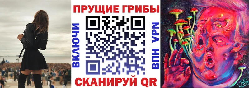 Псилоцибиновые грибы GOLDEN TEACHER  мега ONION  Карачев  купить закладку 