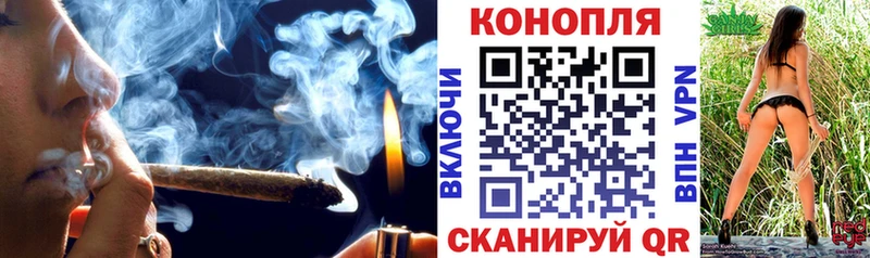 ссылка на мегу онион  Карачев  дарк нет формула  Шишки марихуана тримм 